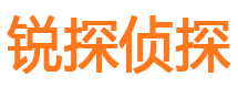 鹤岗侦探公司